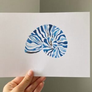 Aquarelle coquillage