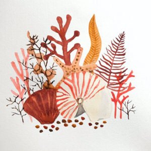 Aquarelle : coraux
